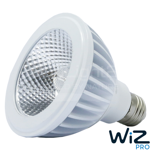 Sunlight2 PAR 38 WIZ White Color
